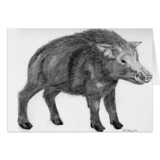 Wild Boar, Defensive Stance Cards (Front Horizontal)