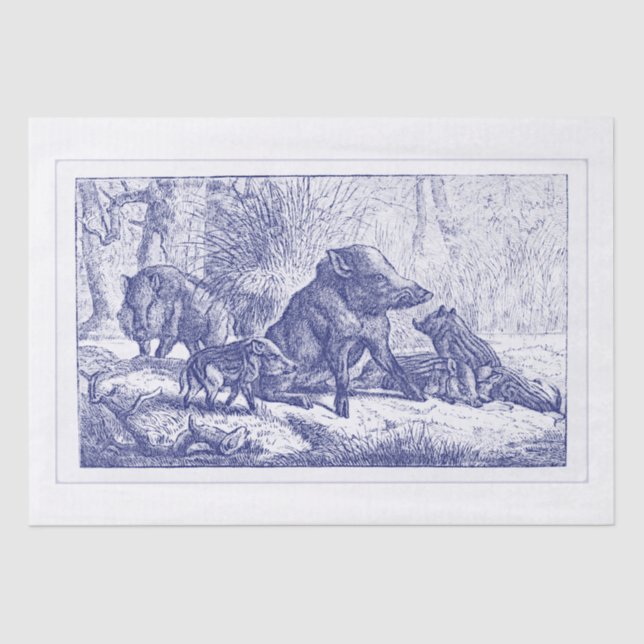 Wild Boar Family Drawing Blue Tissue Paper (Front)
