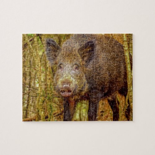 Wild Boar Jigsaw Puzzle