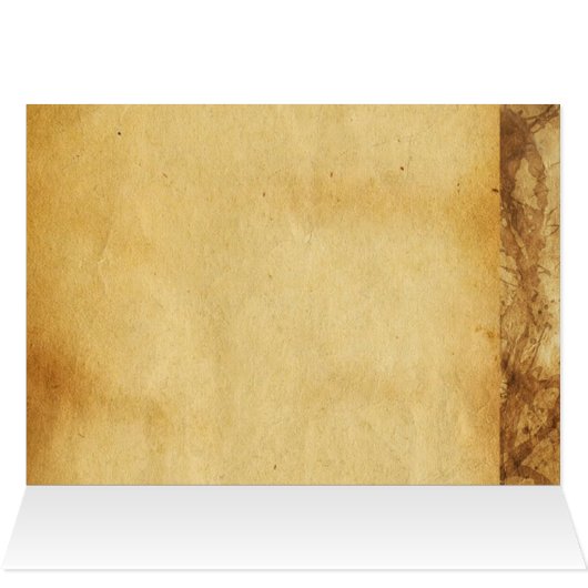 WILD BOAR PIGLET Animal Drawing (Inside Horizontal (Top))