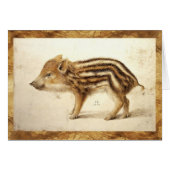 WILD BOAR PIGLET Animal Drawing (Front Horizontal)