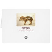 WILD BOAR PIGLET Animal Drawing Cards (Back Horizontal)