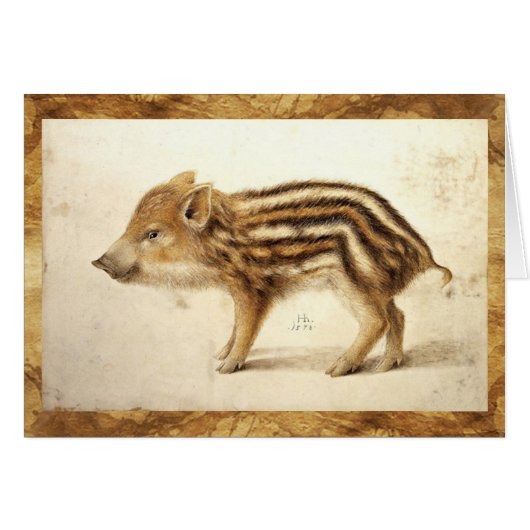 WILD BOAR PIGLET Animal Drawing Cards (Front Horizontal)
