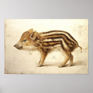 WILD BOAR PIGLET / Animal Drawings Poster