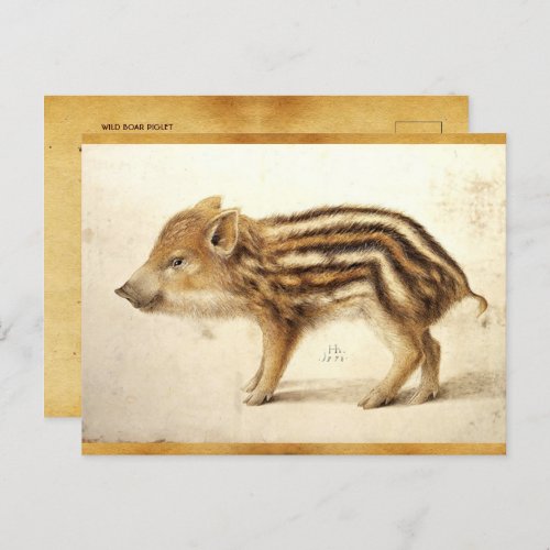 WILD BOAR PIGLET Antique Animal Drawing Parchment Postcard