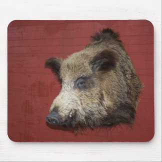 Wild Boar Trophy Mouse Pad