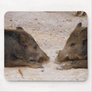 Wild boar - Wild Hog Mouse Pad