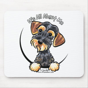 Wirehaired Dachshund Electronics & Tech Accessories | Zazzle