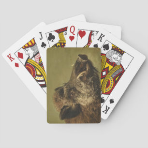Wild Boar's Head Poker Cards