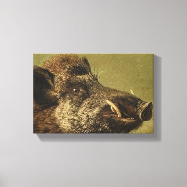 Wild Boar's Head (Ugly Pig) Canvas Print (Front)