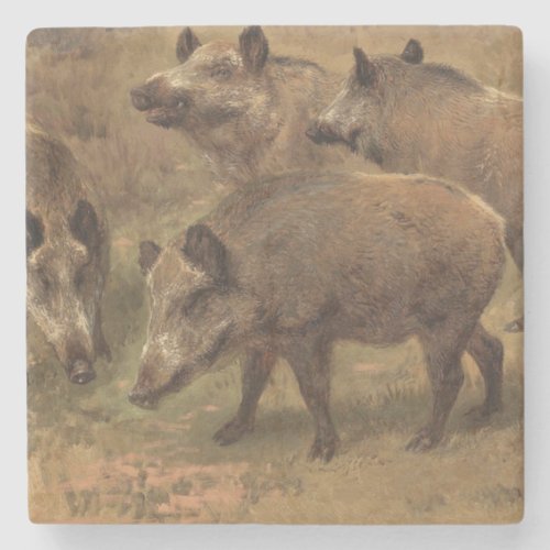 Wild Boars in a Grassy Landscape by Rosa Bonheur Stone Coaster