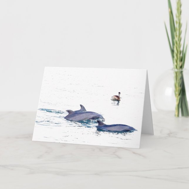 Wild Bottlenose Dolphins Card (Front)