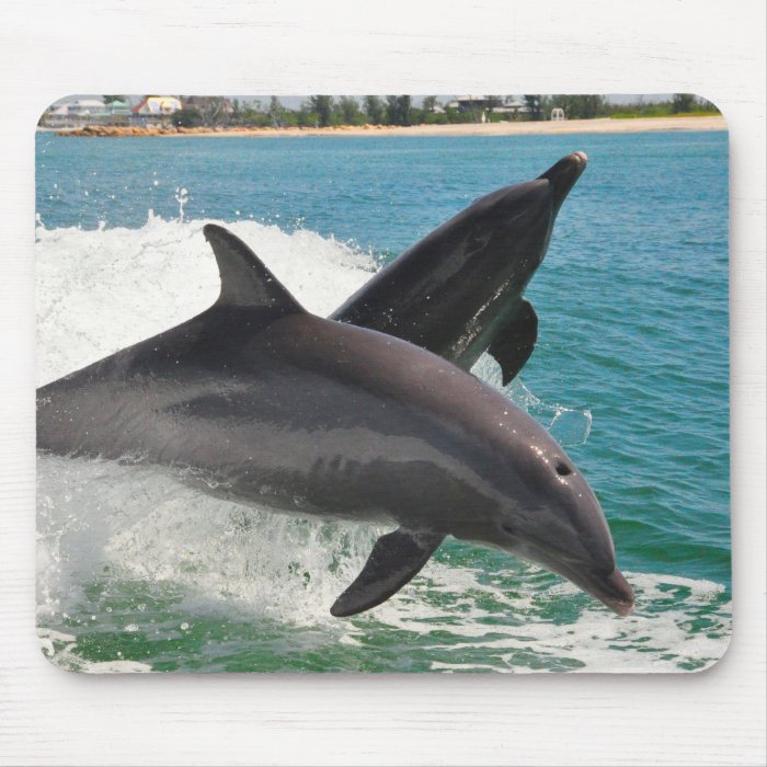 Wild Bottlenose Dolphins Jumping Sanibel Mousepad