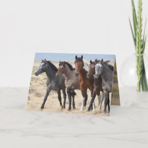 Wild Boys of Lost Creek Greeting Card