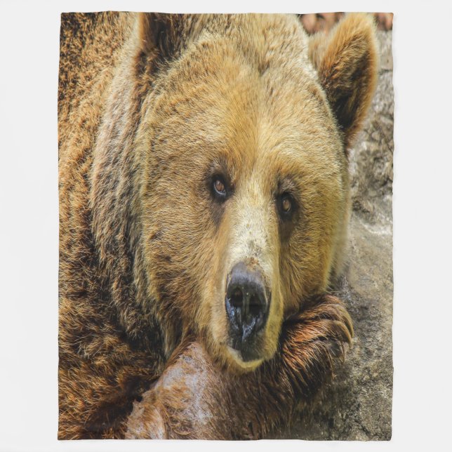 Wild Brown Bear Fleece Blanket (Front)