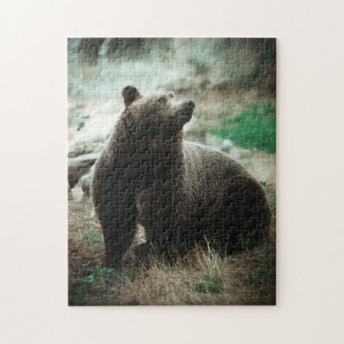 Wild Brown Grizzly Bear Forest Nature Scenery View Jigsaw Puzzle