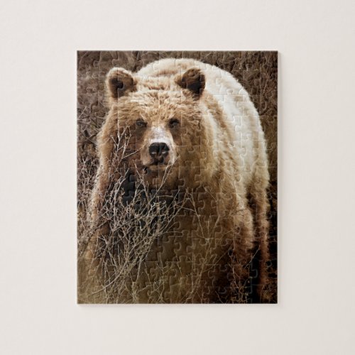 Wild Brown Grizzly Bear _ Wilderness Jigsaw Puzzle