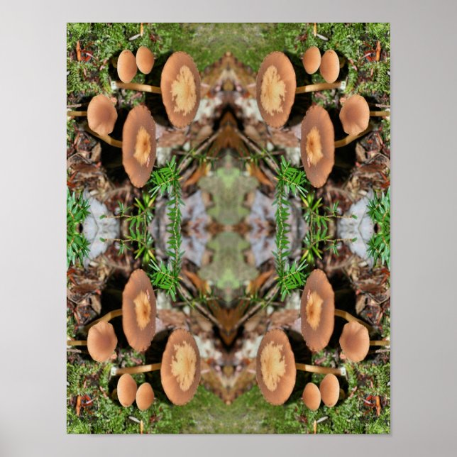 Wild Brown Mushroom Cluster Abstract  Poster (Front)