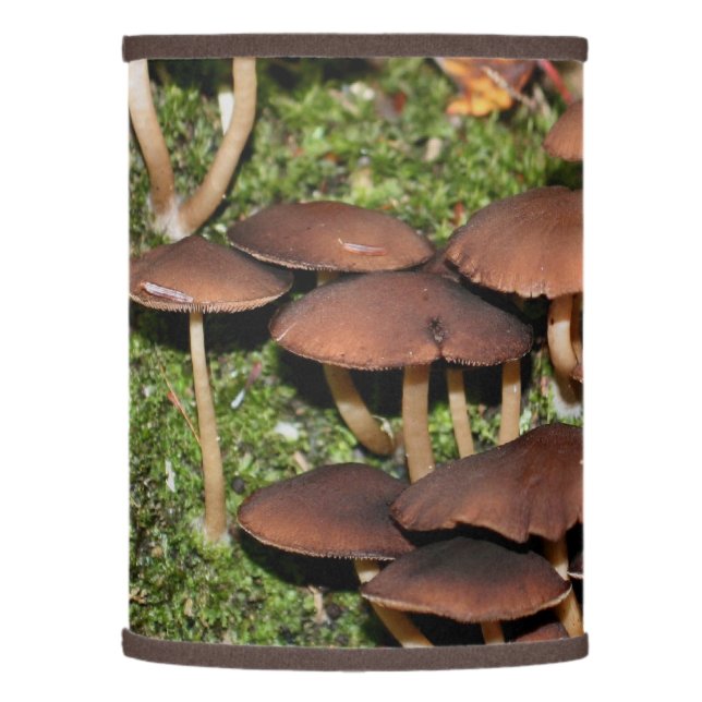 Wild Brown Mushroom Cluster Nature  Lamp Shade (Left)