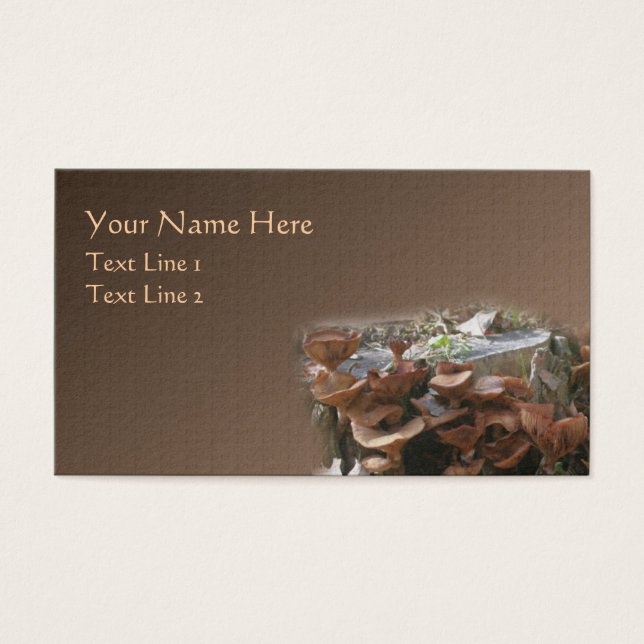 Wild Brown Mushroom Village Nature (Front)