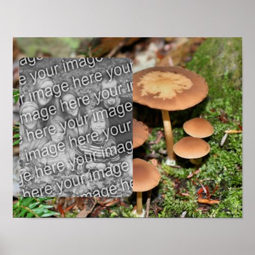 Wild Brown Mushrooms Add Your Photo  Poster