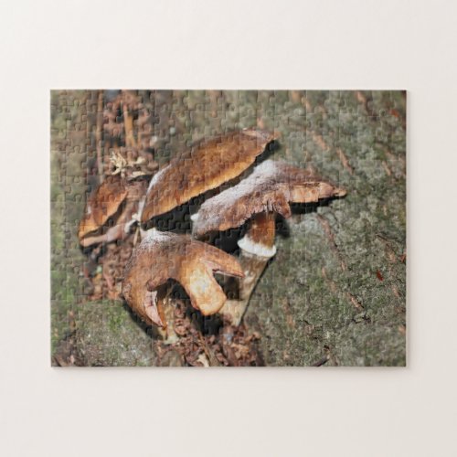 Wild Brown Mushrooms In Tree Crevice Nature  Jigsaw Puzzle