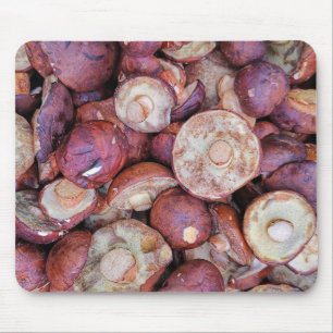 Wild Brown Mushrooms Photography Mouse Pad