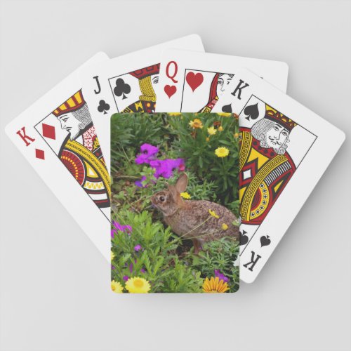 Wild Brown Rabbit Photography Playing Cards
