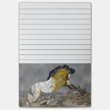 Wild Buckskin Appaloosa Horse