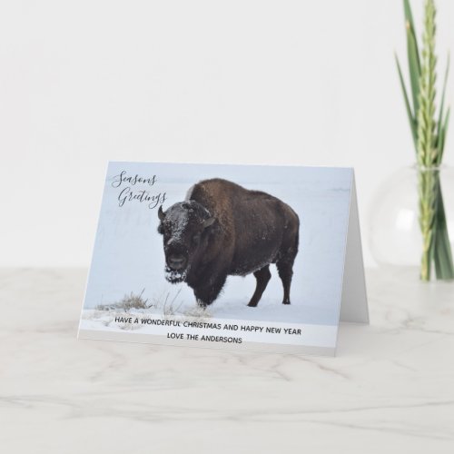 Wild Buffalo Bison Christmas Winter Snow Custom Holiday Card