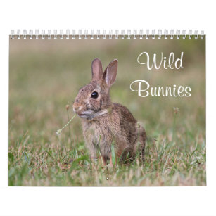 Wild Bunnies Calendar