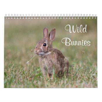 Wild Bunnies Calendar by backyardwonders at Zazzle