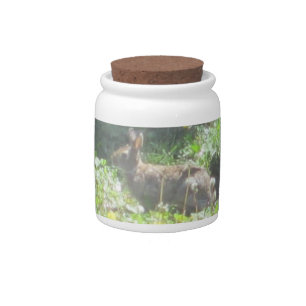 Wild Bunny Candy Jar