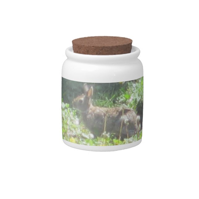 Wild Bunny Candy Jar (Front)