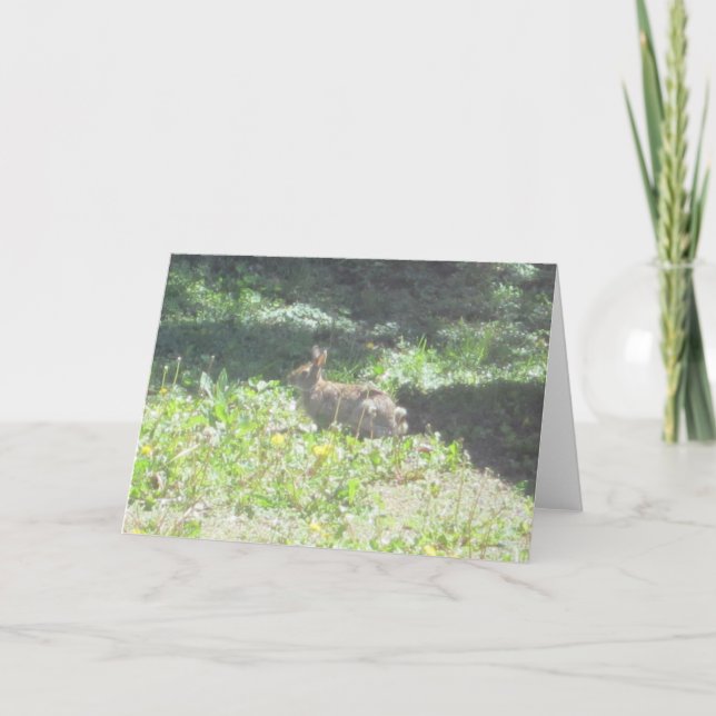 Wild Bunny Greeting Card (Front)