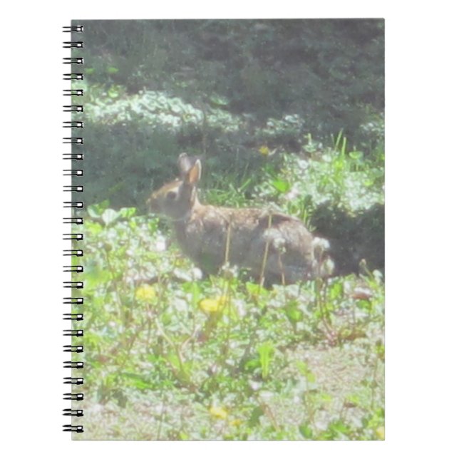 Wild Bunny Notebook (Front)