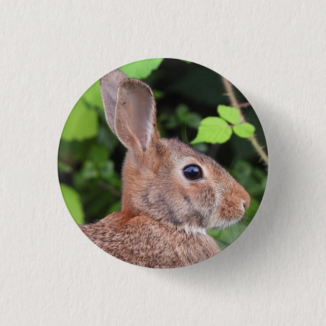 Wild Bunny Rabbit Button (Front)