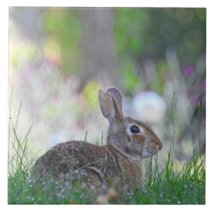 Wild Bunny Rabbit in The Grass Ceramic Tile