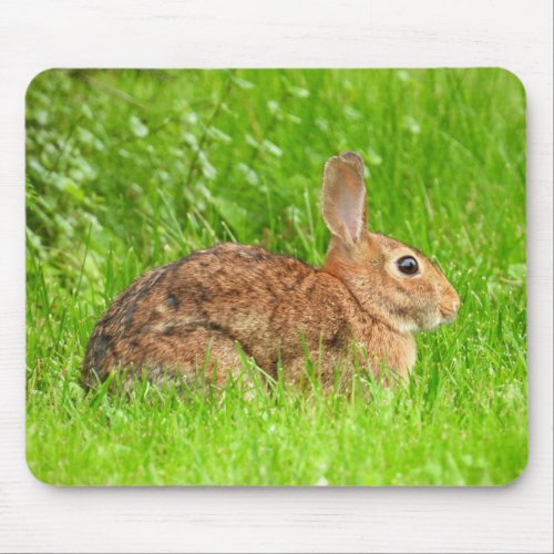 Wild Bunny Rabbit Mouse Pad