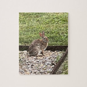 Wild bunny rabbit sitting on the path puzzles
