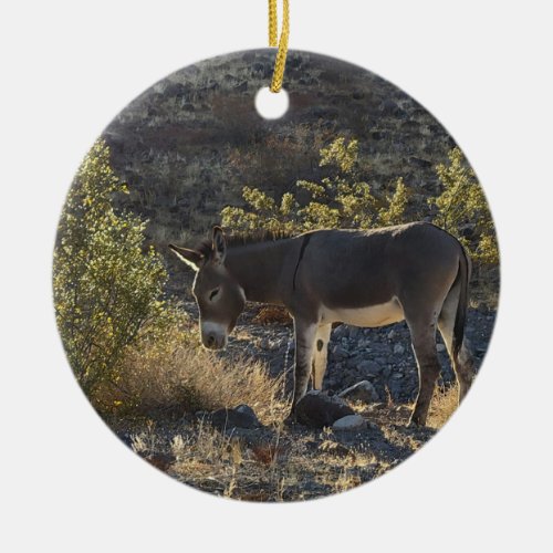 Wild Burro near Oatman Arizona Ceramic Ornament