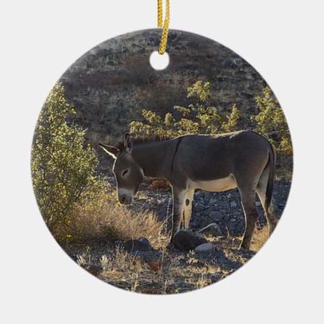 Wild Burro near Oatman, Arizona Ceramic Ornament (Front)