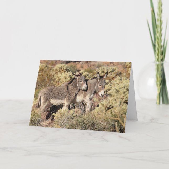Wild Burros Greeting Card (Front)