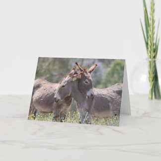 Wild Burros Greeting Card