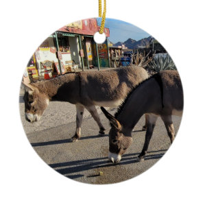 Wild Burros in Oatman, Arizona Ceramic Ornament