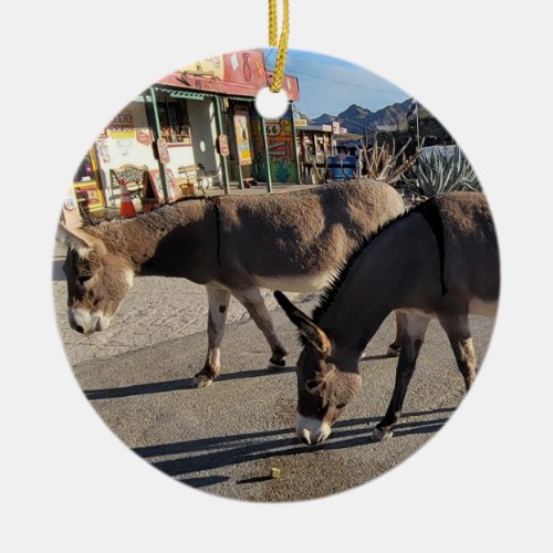 Wild Burros in Oatman Arizona Ceramic Ornament