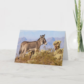 Wild Burros of Arizona Card