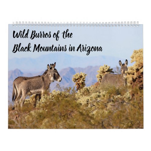 Wild Burros of the Black Mountains Calendar