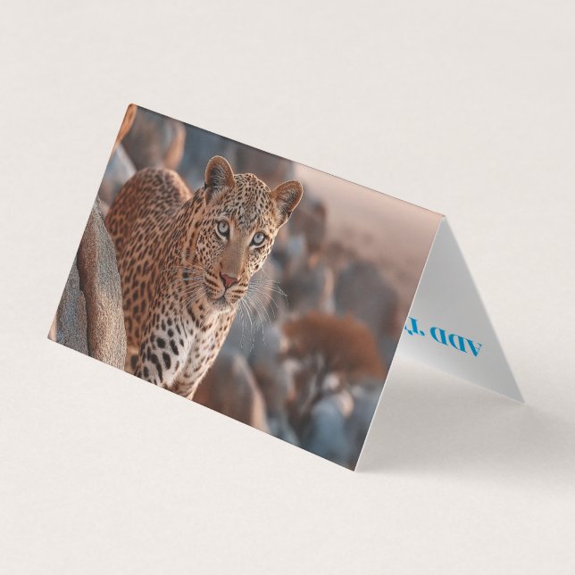 Wild Business Card Fully Customizable (Back)