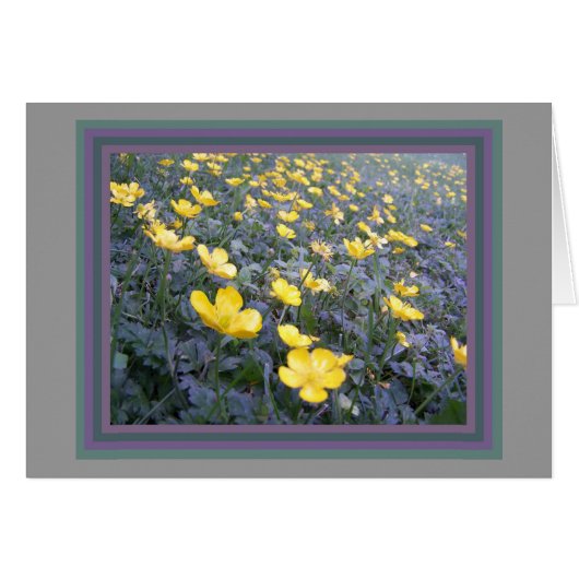 Wild Buttercups Card (Front Horizontal)
